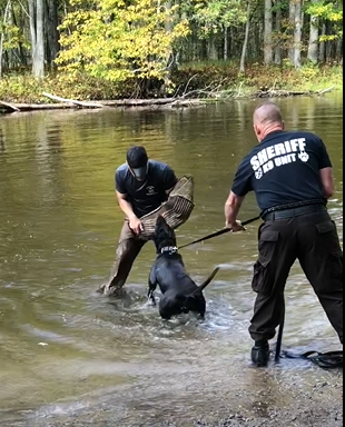 Two people and a dog in the water.